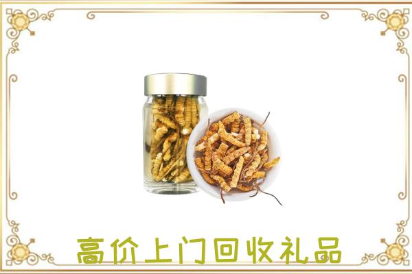 葫芦岛周边回收虫草